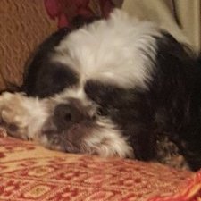 Profile Picture of Jeffrey Gossett (@JeffreyGosset12) on Twitter