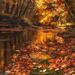 Profile Picture of Rebecca Kropelin Sciolino (@becky7279) on Pinterest