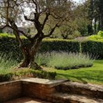 Profile Picture of Séverine Jerry (@melles.jerry) on Instagram