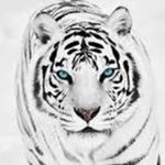Profile Picture of Joseph Scott brooks (@josephsc3) on Instagram