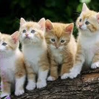 Profile Picture of Aaron Clement (@aaronclement1) on Twitter