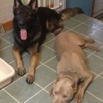 Profile Picture of Joe Parks (@joe_parks_) on Instagram