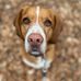 Profile Picture of Paul Steer (@paul.steer.144) on Facebook