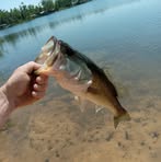 Profile Picture of Joseph Deese (@gottageright) on Facebook