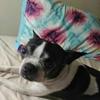 Profile Picture of edwardmccorkle279 (@edwardmccorkle279) on Tiktok