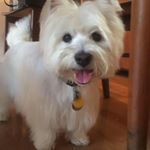 Profile Picture of Keith Kimura (@keith.kimura.9) on Instagram
