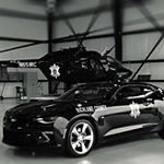 Profile Picture of Danny Brown (@thundadan830) on Instagram