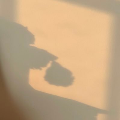 Profile Picture of Ellen Ellen (@EllenEl00708323) on Twitter
