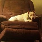 Profile Picture of Joe Sneed (@joe_sneed) on Instagram