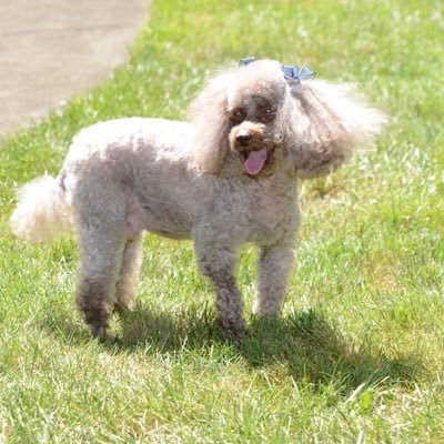 Profile Picture of David Berger (@D_R_Berger) on Twitter