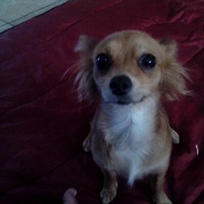 Profile Picture of Jasmine Madrigal (@JazzyAriana209) on Twitter
