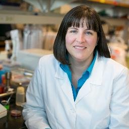 Profile Picture of Amy E. Kirby (@AmyEKirby) on Twitter