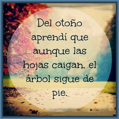 Profile Picture of Blanca Diego Francis (@Blancadiegofra2) on Twitter