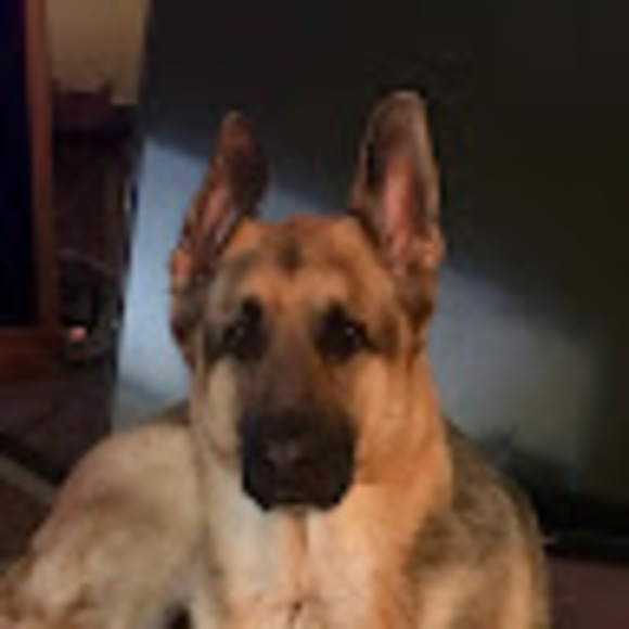 Profile Picture of Mitzi Crow (@mitzilcrow713) on Poshmark