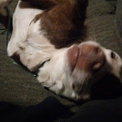 Profile Picture of Daniel Mullins (@danielmullins9908) on Youtube