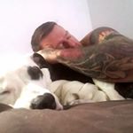 Profile Picture of Mark Pennington (@petergriffonjones) on Instagram
