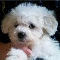 Profile Picture of James Lynham (@james-lynham-1) on Quora
