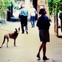 Mio Hayashi - Quora Profile Picture of Mio Hayashi (@mio-hayashi) on Quora