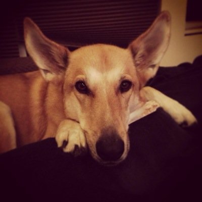 Profile Picture of Brad Fitch (@DoctorMystico) on Twitter