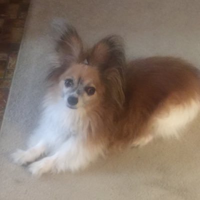 Profile Picture of Tyler Dyer (@TylerDy88844630) on Twitter