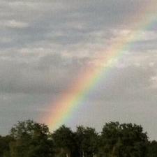 Profile Picture of Lori Worden (@lworden54) on Twitter