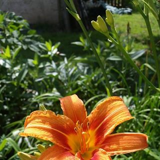 Profile Picture of Birte Nimz (@birte.nimz) on Facebook