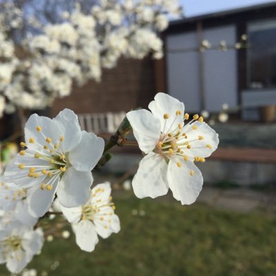 Profile Picture of Tristan Drephal (@DrephalTristan) on Twitter