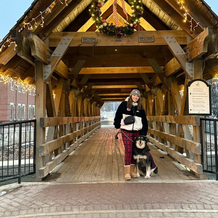 Profile Picture of Fiona Han (@fefeyhan) on Tiktok