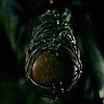 Profile Picture of Thomas Vessio (@thomasvessio) on Instagram