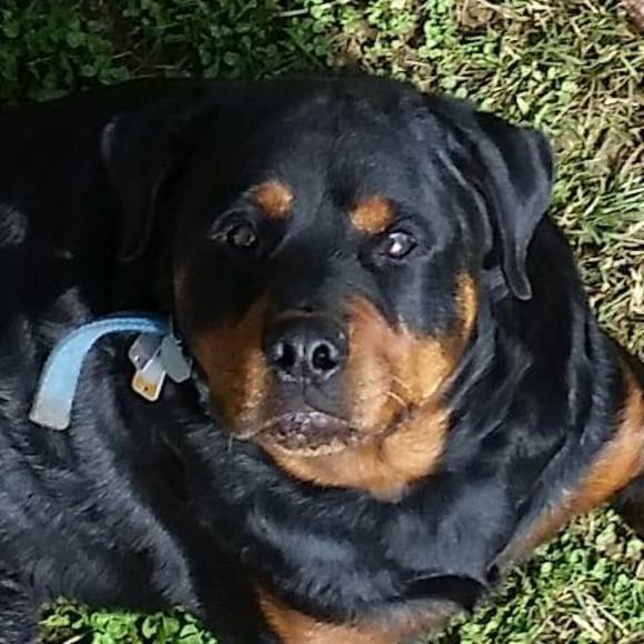 Profile Picture of Lloyd Jones (@lloydjones007) on Poshmark