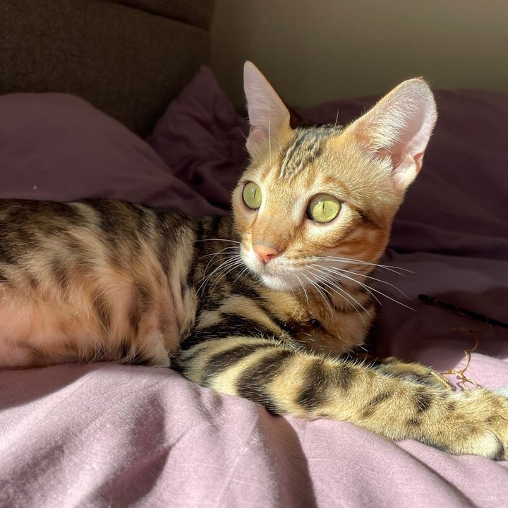 Profile Picture of Martin (@kit_martiin) on Tiktok