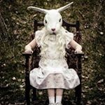Profile Picture of Mary Dvorak Stanke (@mn884) on Instagram
