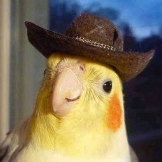 Profile Picture of Eric Ruvalcaba (@mrRuvalcaba2u) on Twitter