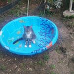 Profile Picture of sandi cooley (@cooleysandi) on Instagram