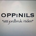 Profile Picture of Birgitta Lindh Andersson (@oppinils) on Instagram