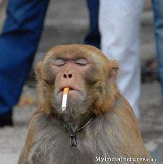 Matt Landgrebe - Facebook Profile Picture of Matt Landgrebe (@marcilino.valdez) on Facebook