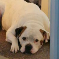 Profile Picture of Jason Hinchliffe (@jason-hinchliffe-2) on Quora