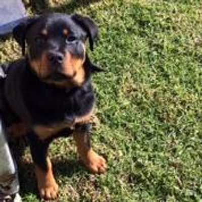 Profile Picture of Geoff Long (@NotshortLong) on Twitter