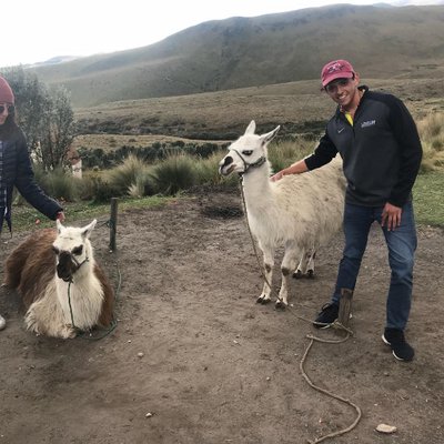 Profile Picture of Nicholas Silva (@nicksilvaven) on Twitter