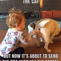 Profile Picture of Vicky Marshall (@vicky-marshall-8) on Quora