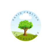 Profile Picture of David Carlton Photography (@davidcarltonphotography) on Youtube
