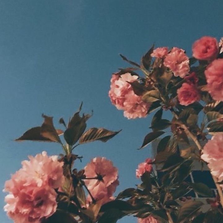 Profile Picture of billieeilishstan (@billirish) on Tiktok