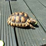 Profile Picture of Mark Cheeseman (@cheeseman774) on Instagram