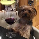 Profile Picture of Kieran Mccormack (@keesuemccormack) on Instagram