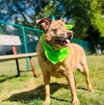 Profile Picture of Wayne Harbart (@wayne.harbart) on Facebook