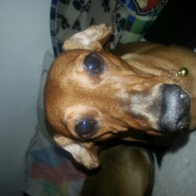 Profile Picture of Stuart Calder (@StuartCalder75) on Twitter