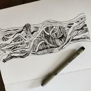 Profile Picture of Surekha Shetty (@_surekhashetty) on Instagram