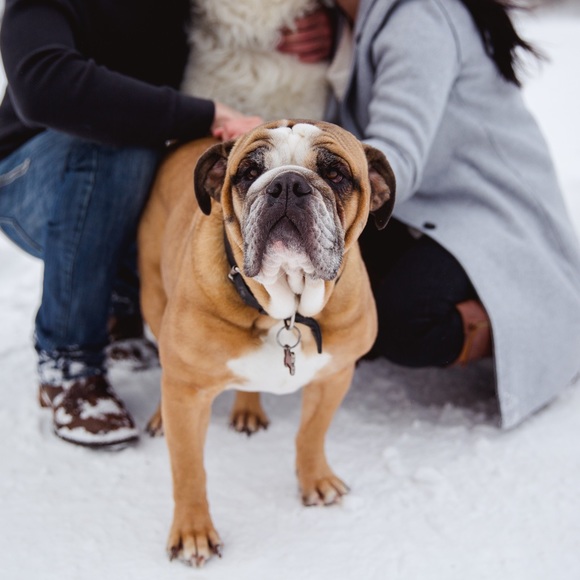 Profile Picture of Sam Calkins (@scalks) on Poshmark