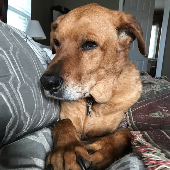 Profile Picture of Maria Paganini (@bypa13) on Poshmark