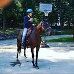 Profile Picture of Aubrey Barnes (@chesterthegamingpony) on Instagram